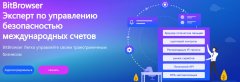 BitBrowser или VMlogin, какой просмотр по отпечатку пальца вам больше подходит (последний в 2024 году)?